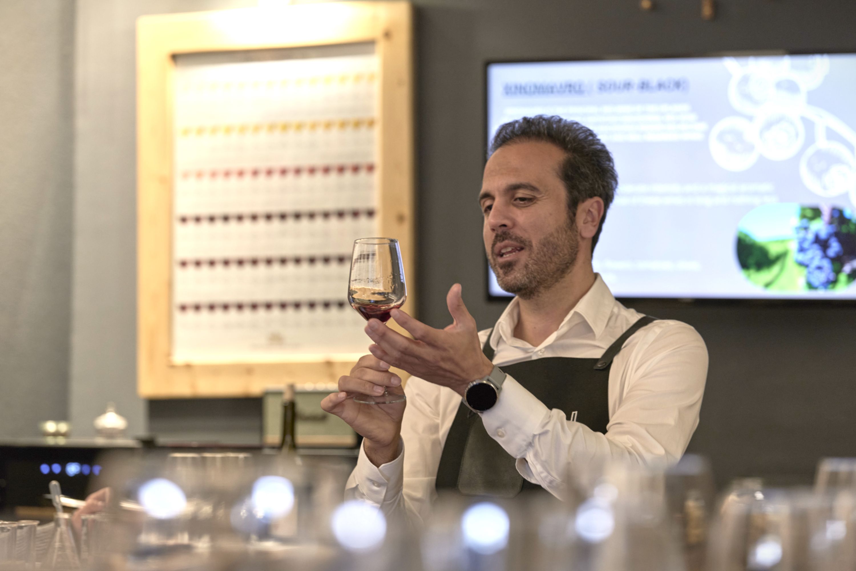 雅典希腊葡萄酒品尝