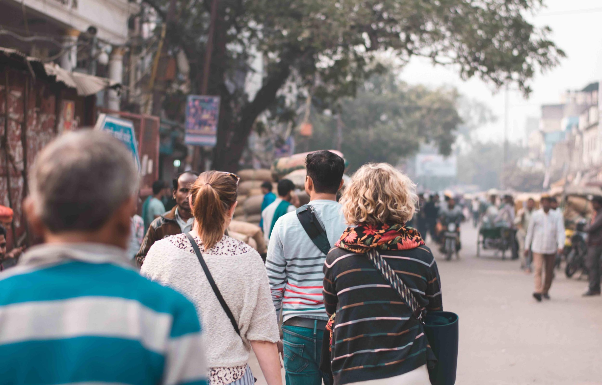 私人五小时导览：月光市集、红堡和拉吉加特