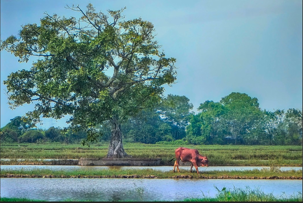南定乡村游：木偶制作村和水上木偶戏