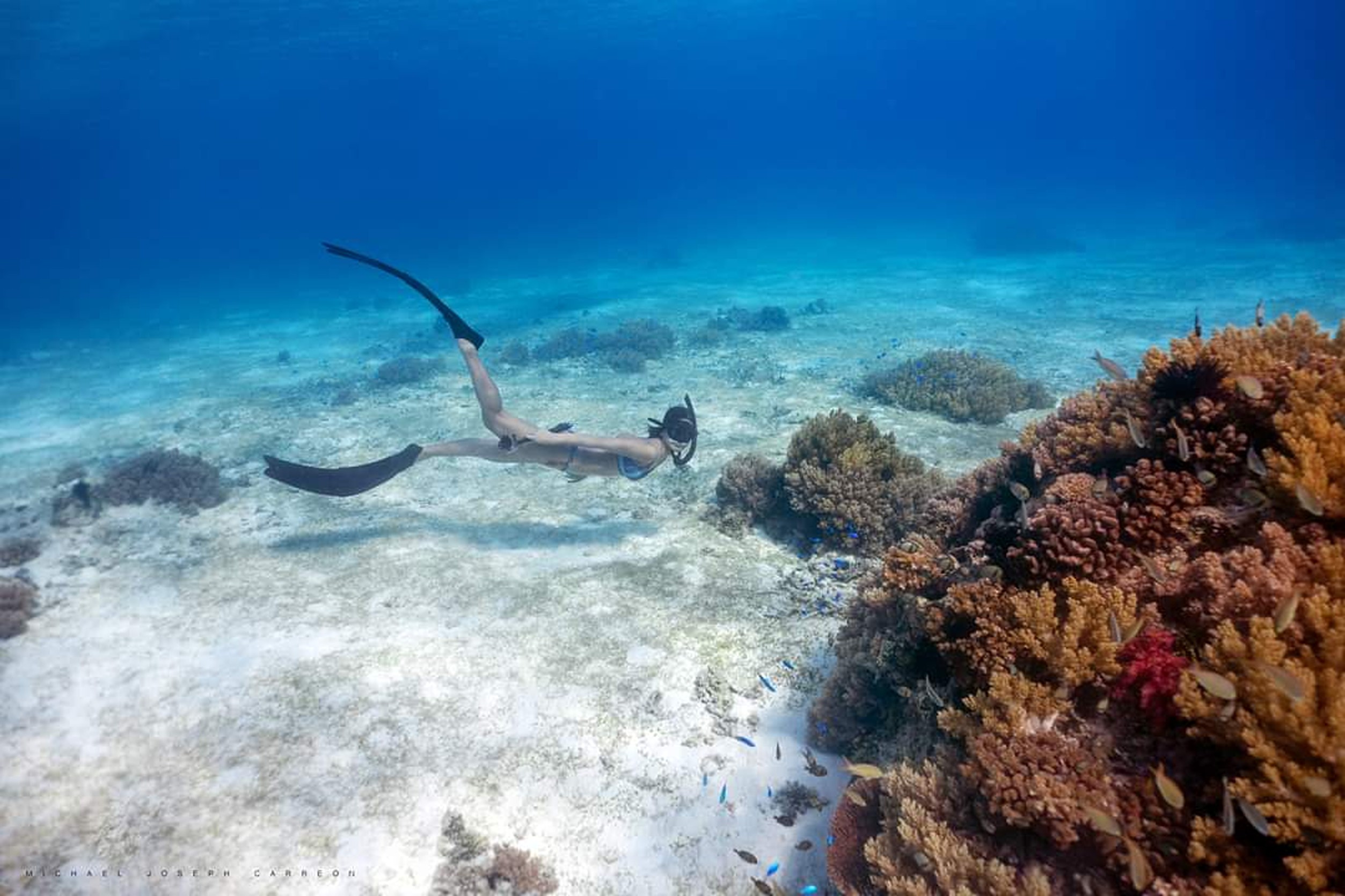 八打雁SSI一级自由潜水认证（2天）