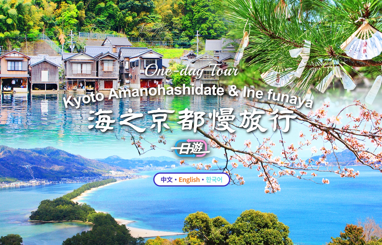 【京都天桥立&伊根舟屋】天桥立&伊根舟屋寻找秘境-海上村庄之旅一日游（大阪出发）