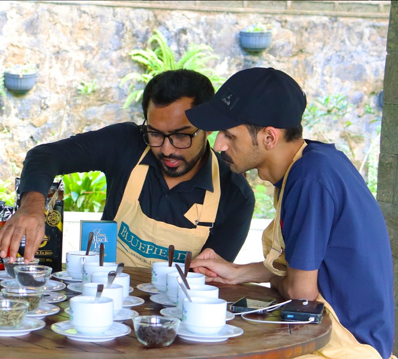 茶厂探索与品茶之旅