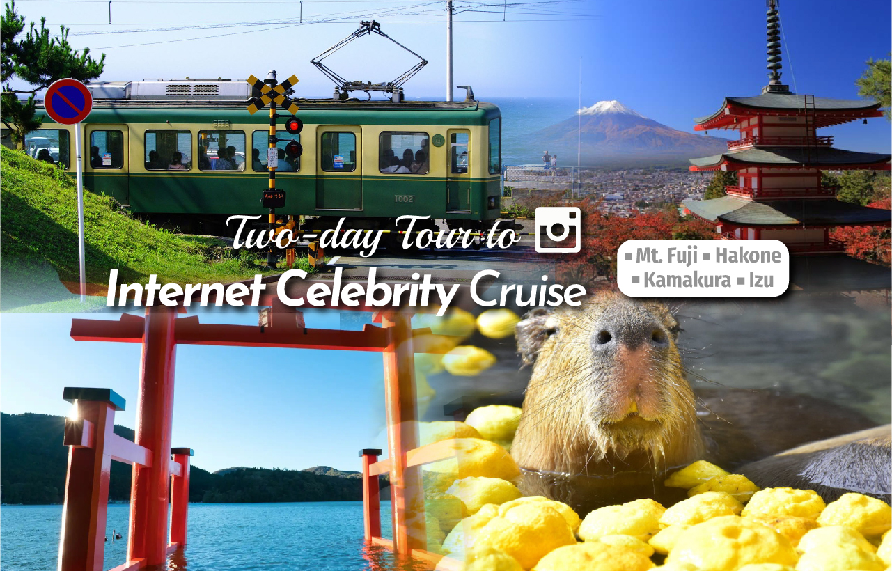 富士山&箱根&镰仓&伊豆网红人气打卡&温泉酒店二日游｜东京出发