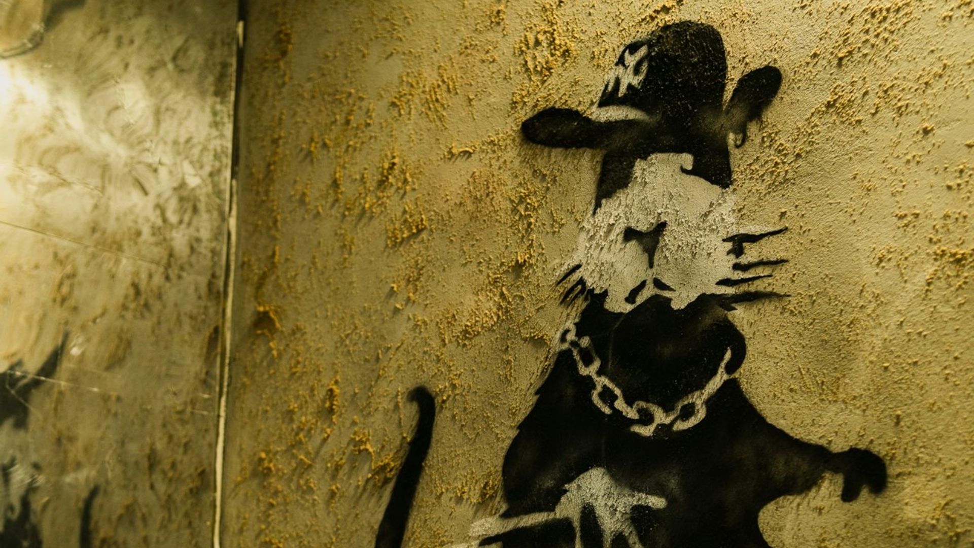 克拉科夫  Muzeum Banksy  门票