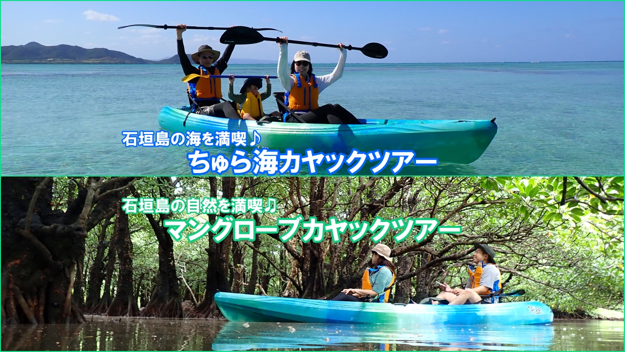 【石垣岛】私人独木舟体验：楚良间独木舟或红树林独木舟（含行程照片 / 免费接送）