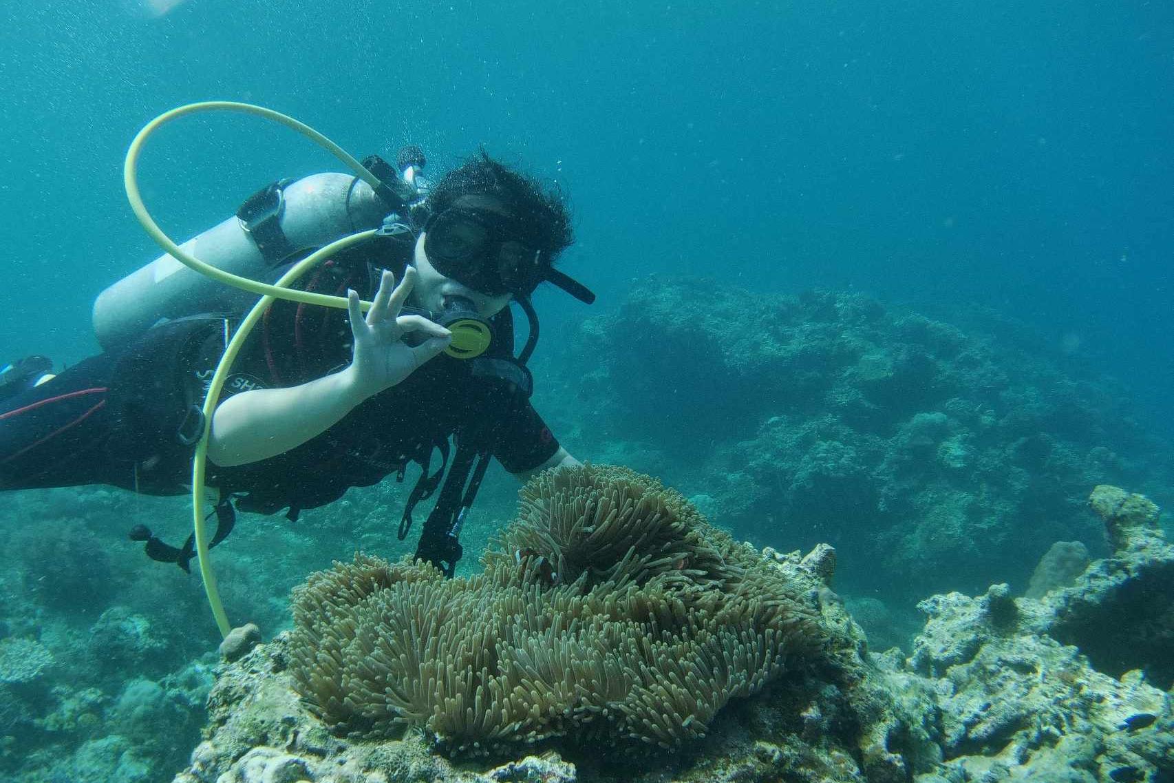马尼拉 Anilao 潜水一日游
