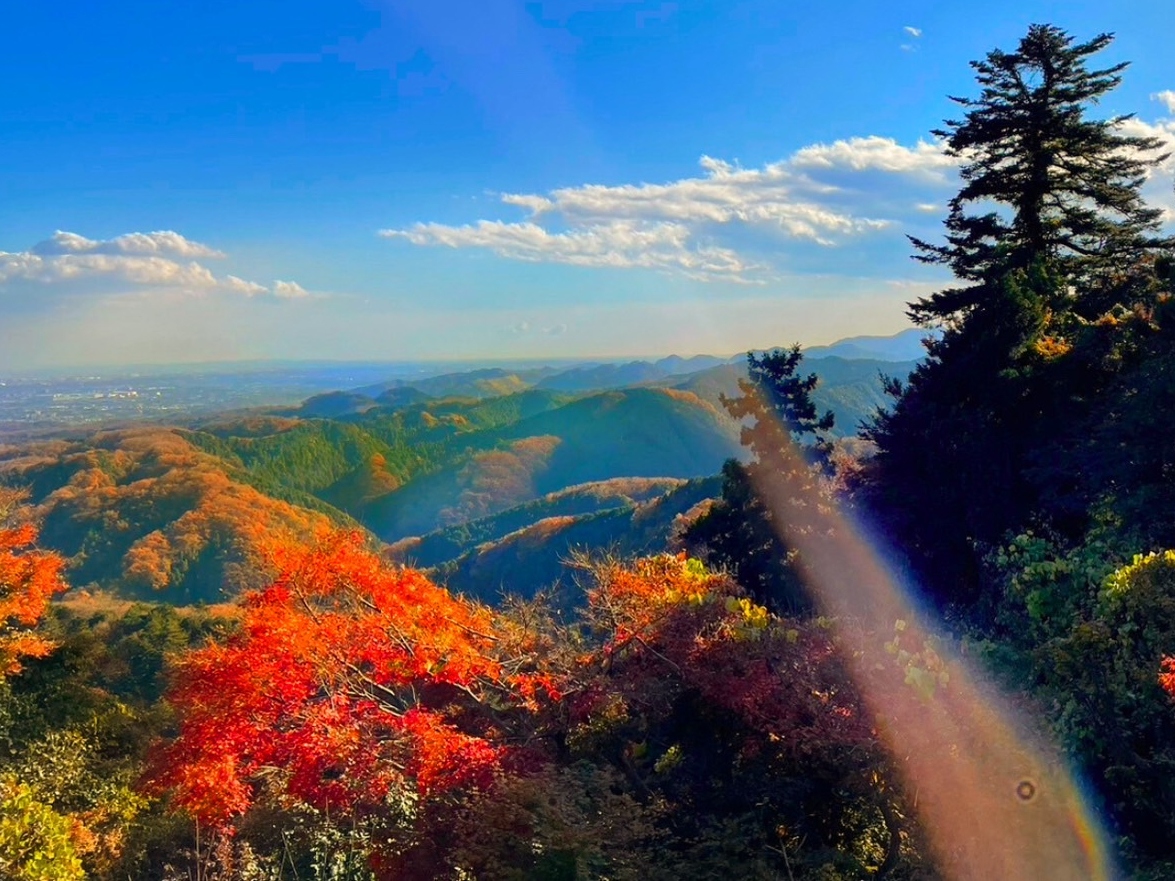 高尾山 (Mt. Takao) 紅葉觀賞一日遊
