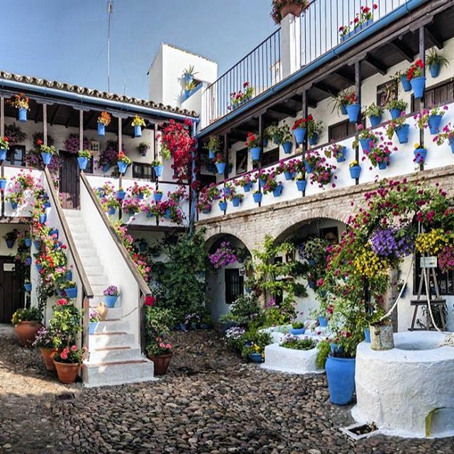 哥多华 (Cordoba) 庭院