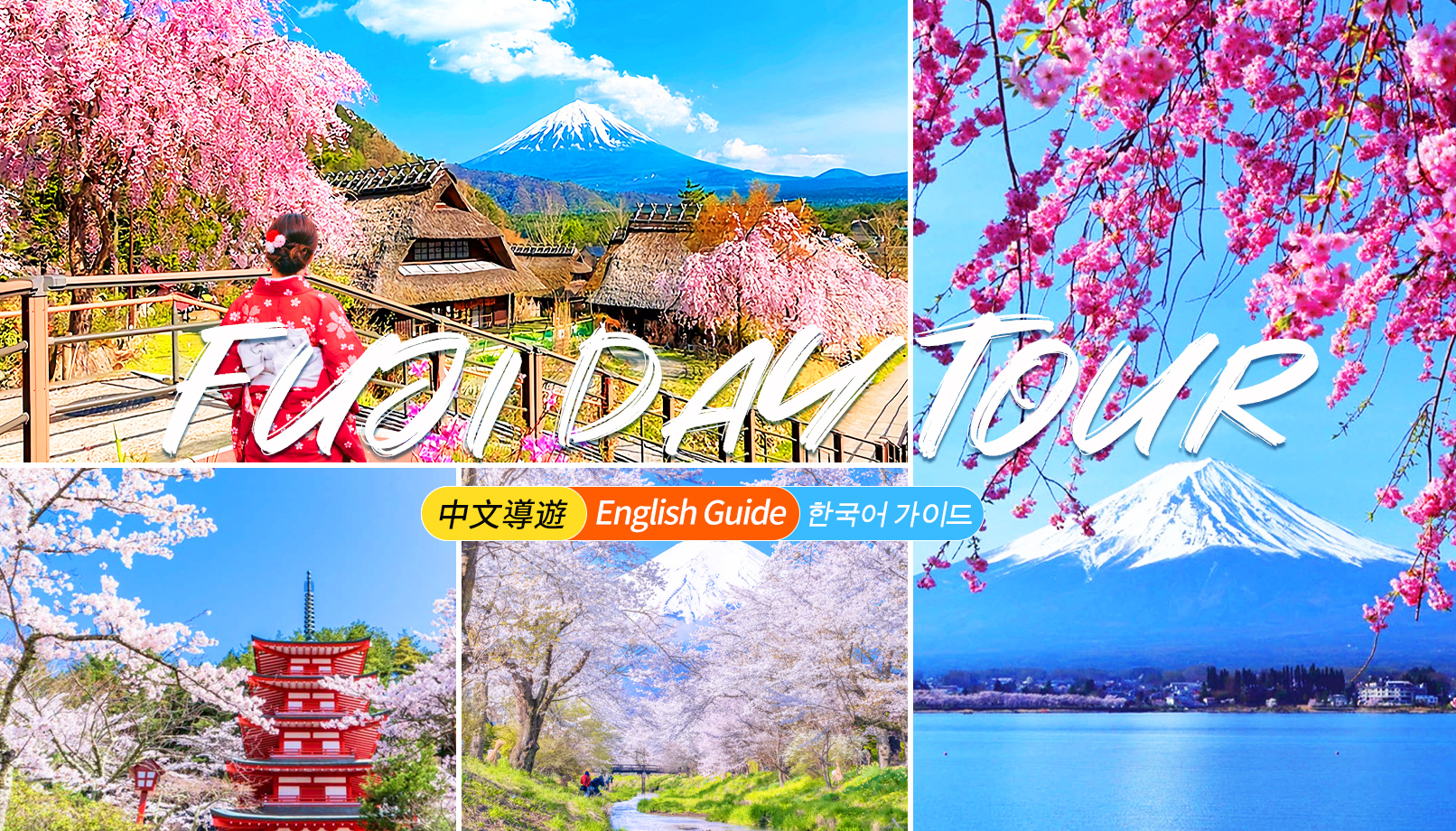 富士山探索之旅｜新仓山浅间公园·天梯小镇·忍野八海·河口湖大石公园·西湖疗愈里根场一日游