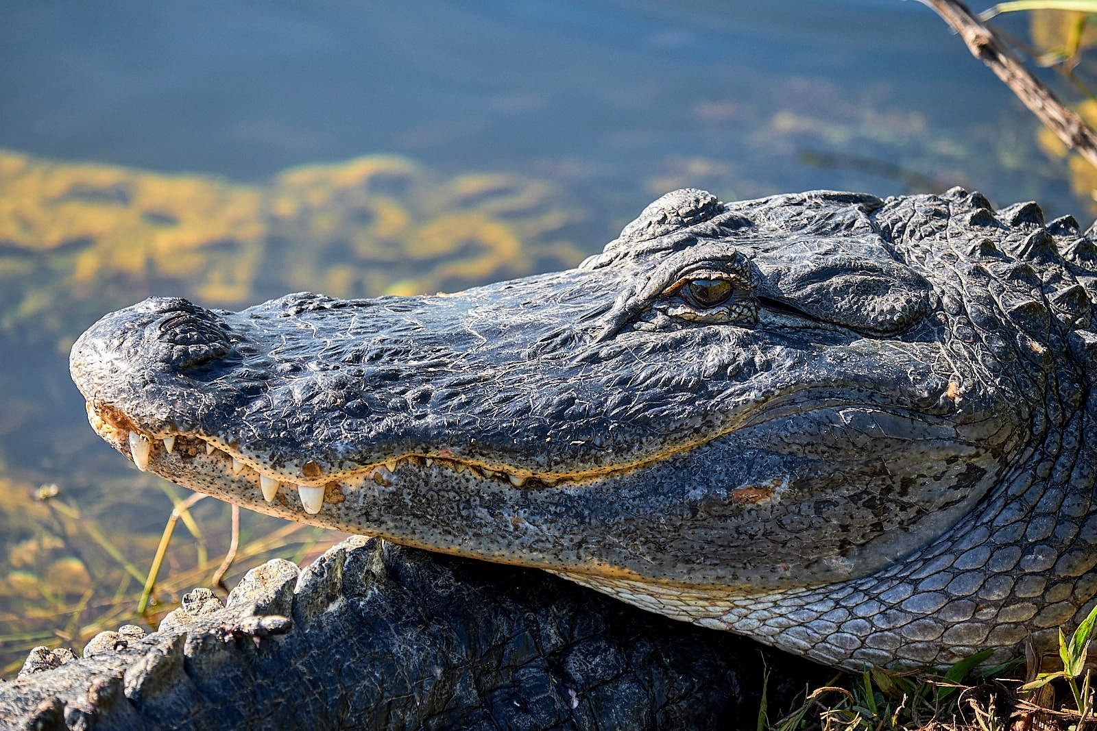 汽船之旅和小哈瓦那徒步和驾驶之旅