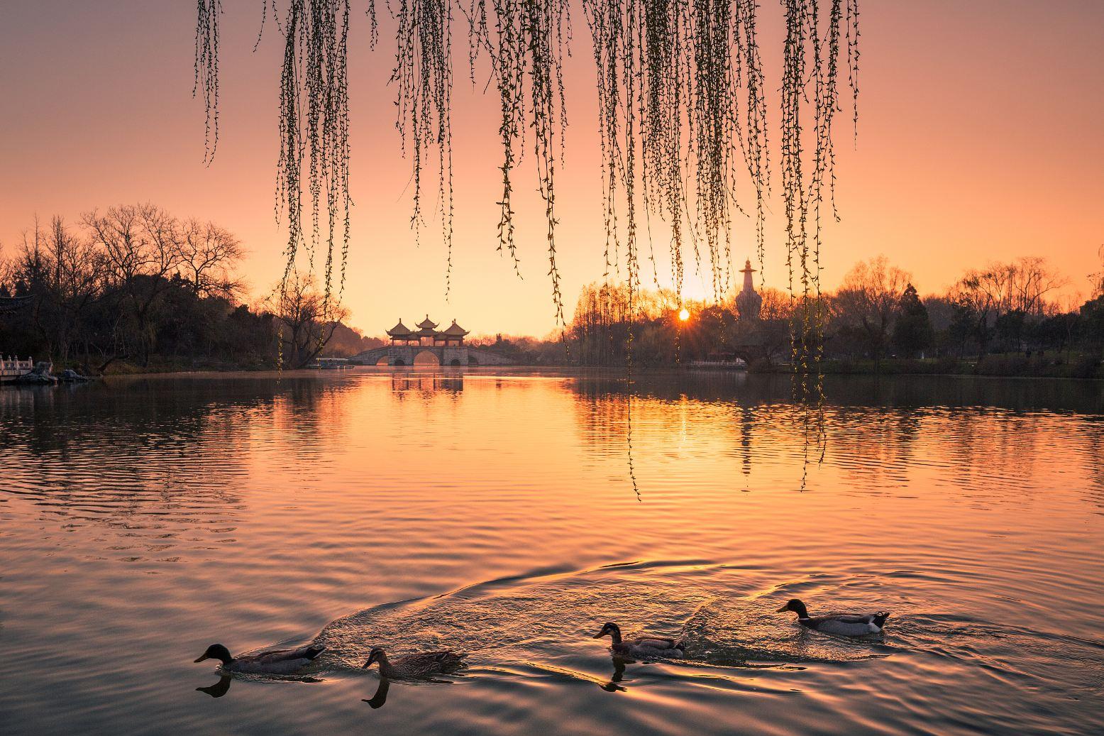 【南京集合上海解散】华东五市扬州乌镇全景6日游（扬州瘦西湖+无锡灵山大佛+苏州乌镇+杭州西湖+赠宋城千古情表演+城隍庙+金茂大厦）