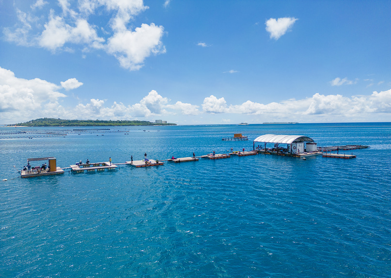 冲绳｜北部筏钓钓鱼・宽敞甲板不晕船・亲子友善 (近美丽海水族馆和JUNGLIA乐园)