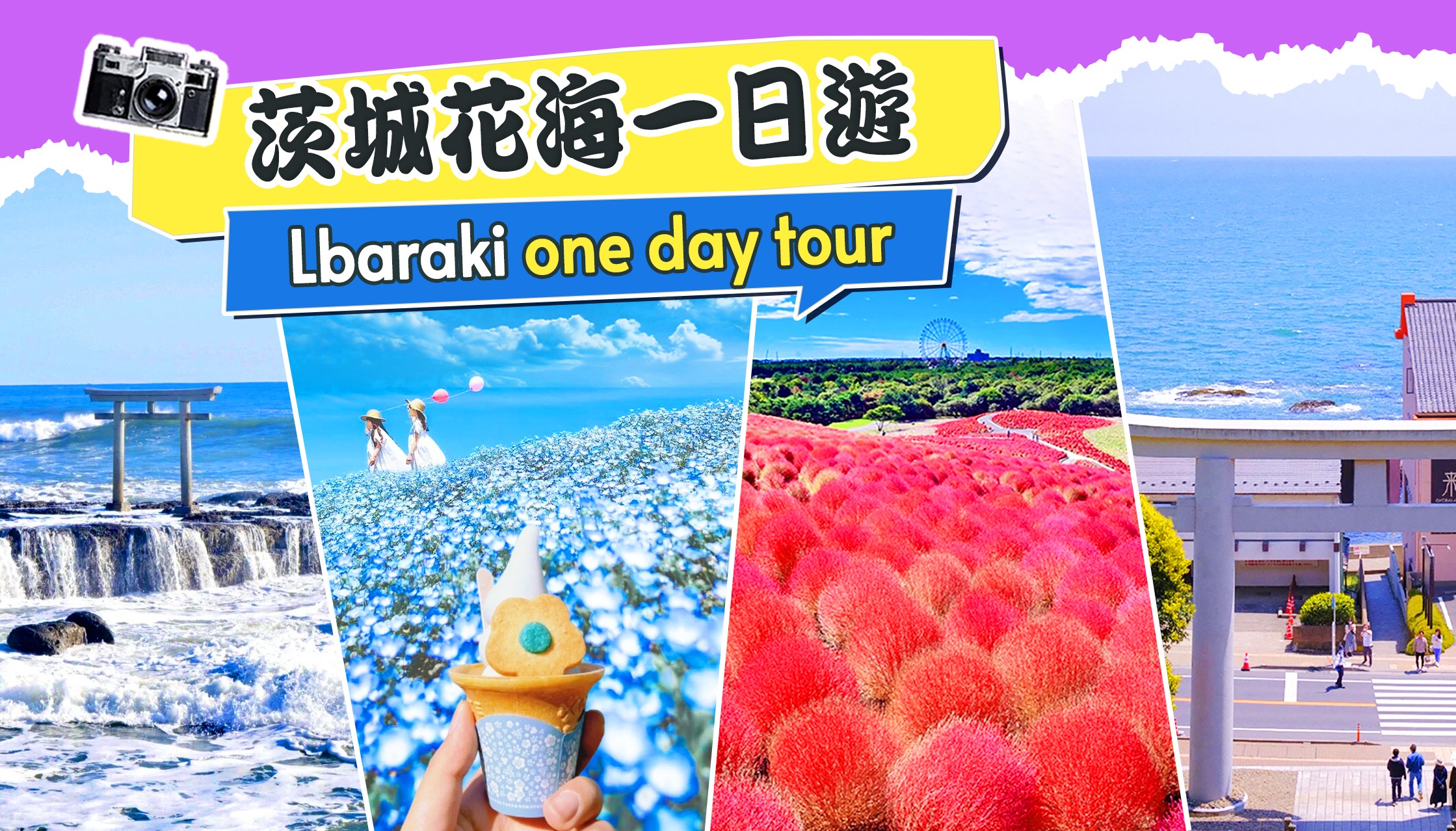 【茨城花海与美食的完美邂逅一日游】大洗矶前神社・那珂凑海鮮市場・国营常陆海滨公园|东京出发