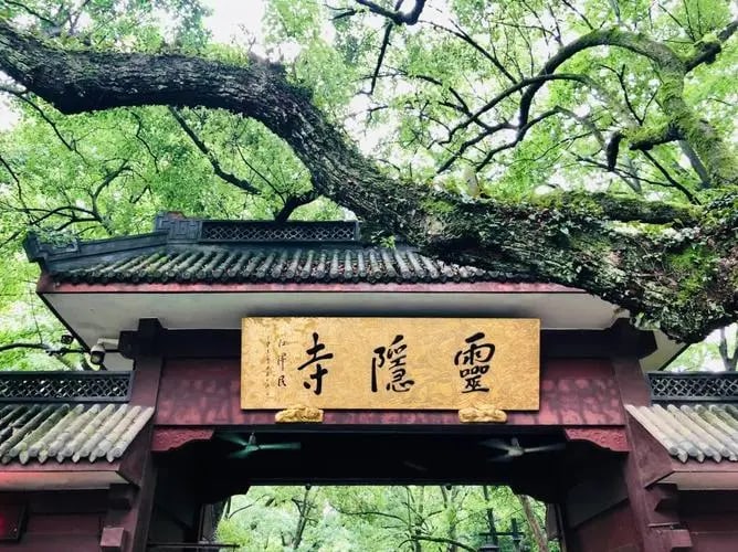 杭州灵隐寺 梅家坞 云溪竹径 私人导览一日游