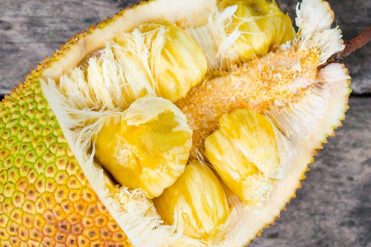 内陆美食飨宴与观光一日游