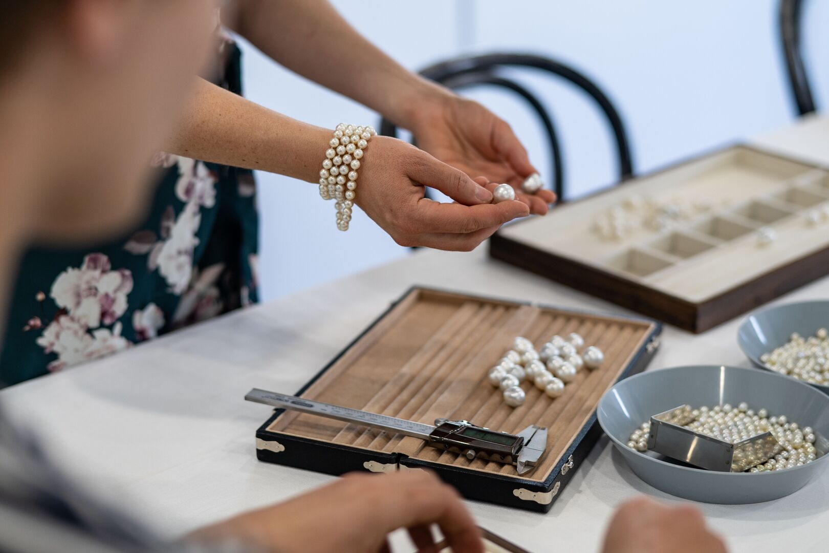 牡蛎游船 Shell to Showroom 体验