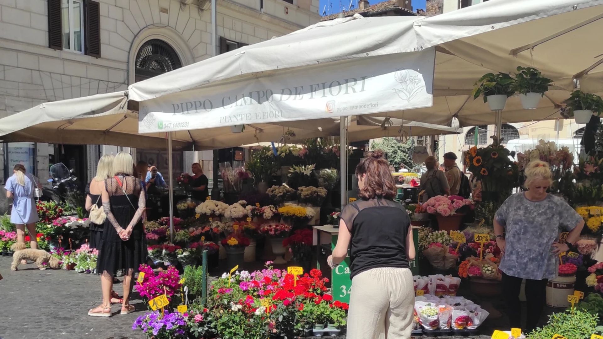 罗马鲜花广场 (Campo de Fiori)、犹太区 (Ghetto) 和万神殿 (Pantheon) 街头小吃之旅