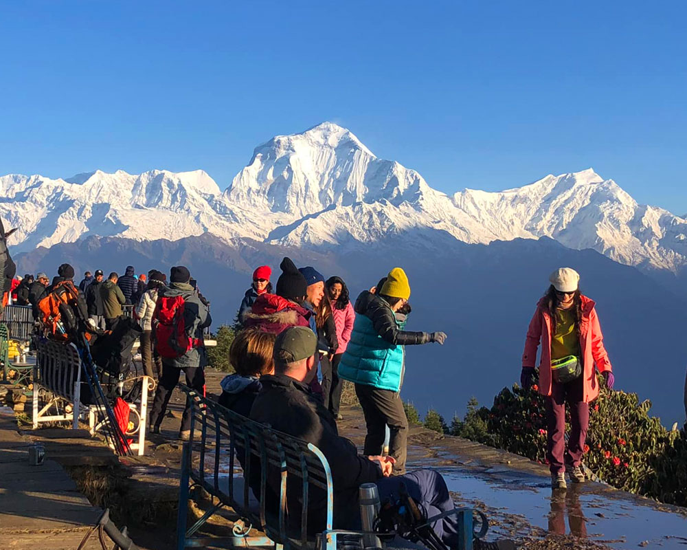 波卡拉5日戈雷帕尼普恩丘 & 甘德鲁克村徒步之旅