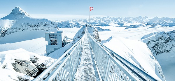 从日内瓦出发：冰川 3000 私人一日游