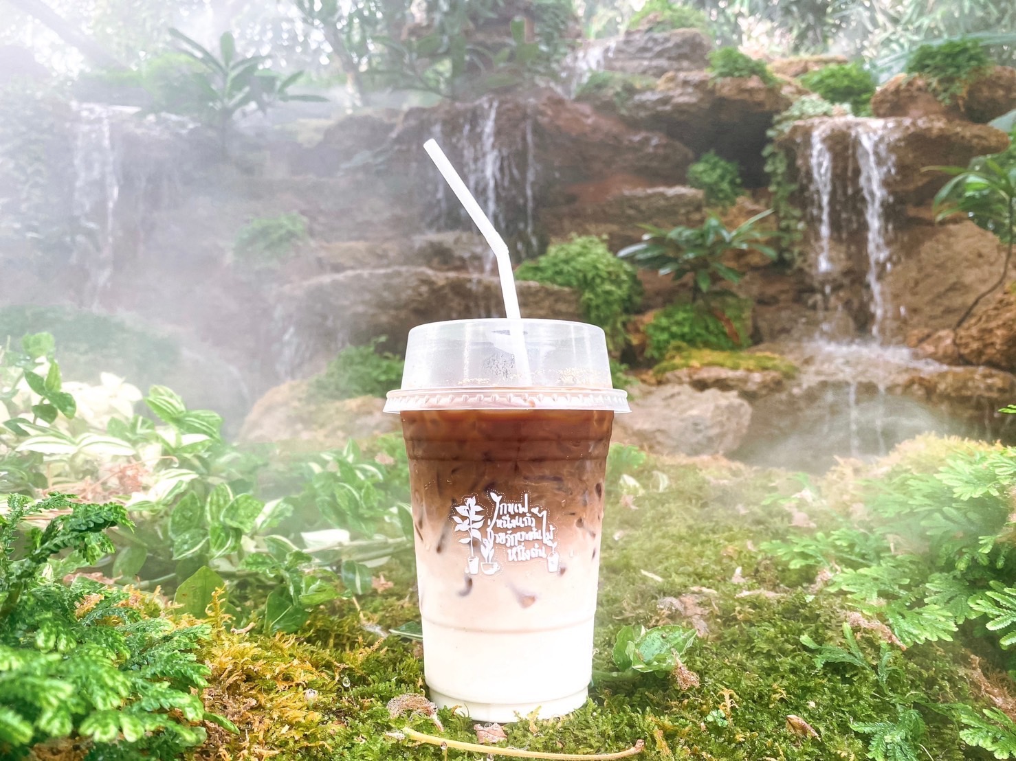 曼谷 Meet u Cafe 网美咖啡厅