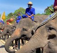 曼谷三攀大象营+鳄鱼公园 