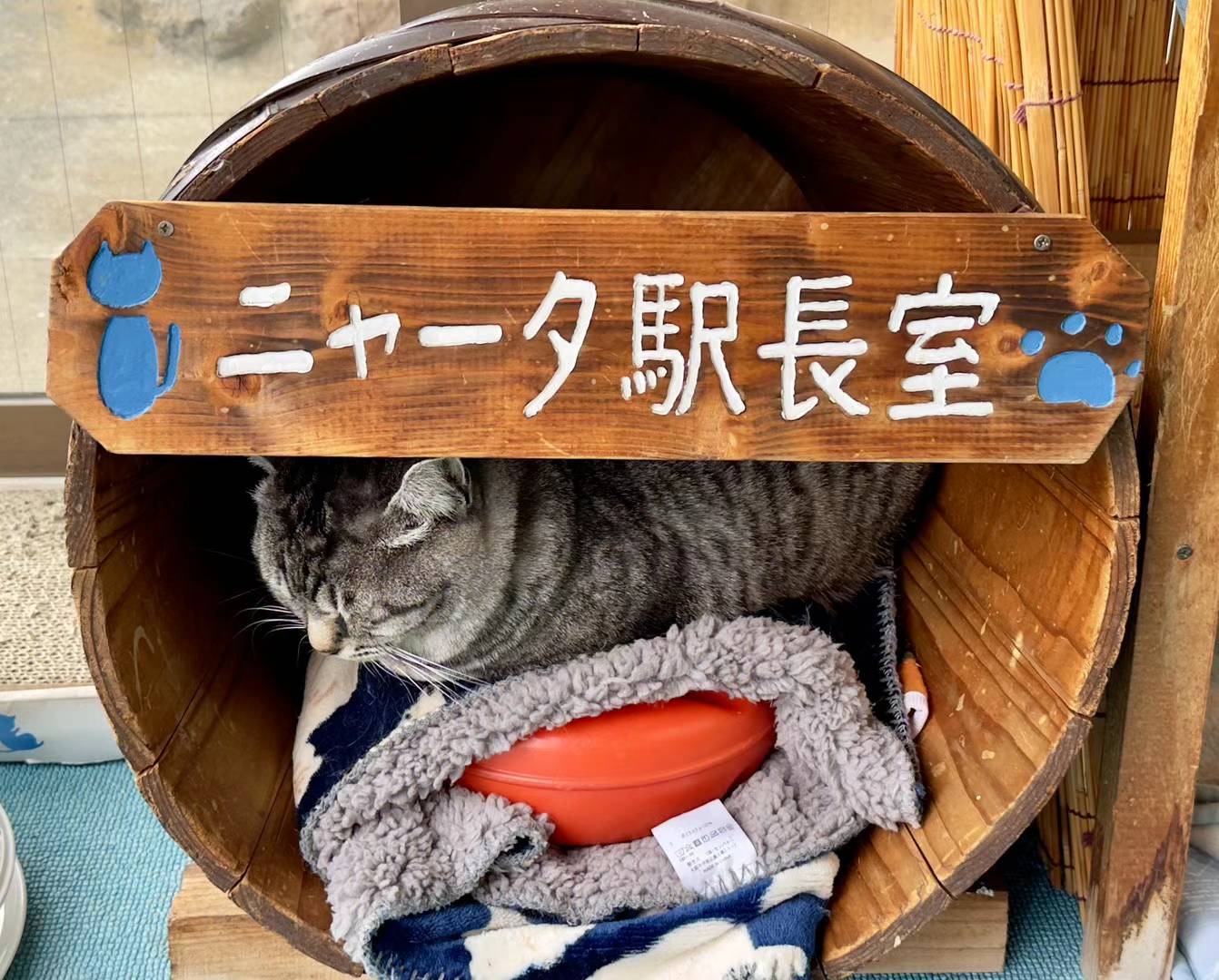 太宰府 & 汤布院 & 别府空中缆车 & 灶地狱一日游 (福冈出发)