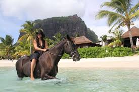 模里西斯骑马探险（含饭店接送）