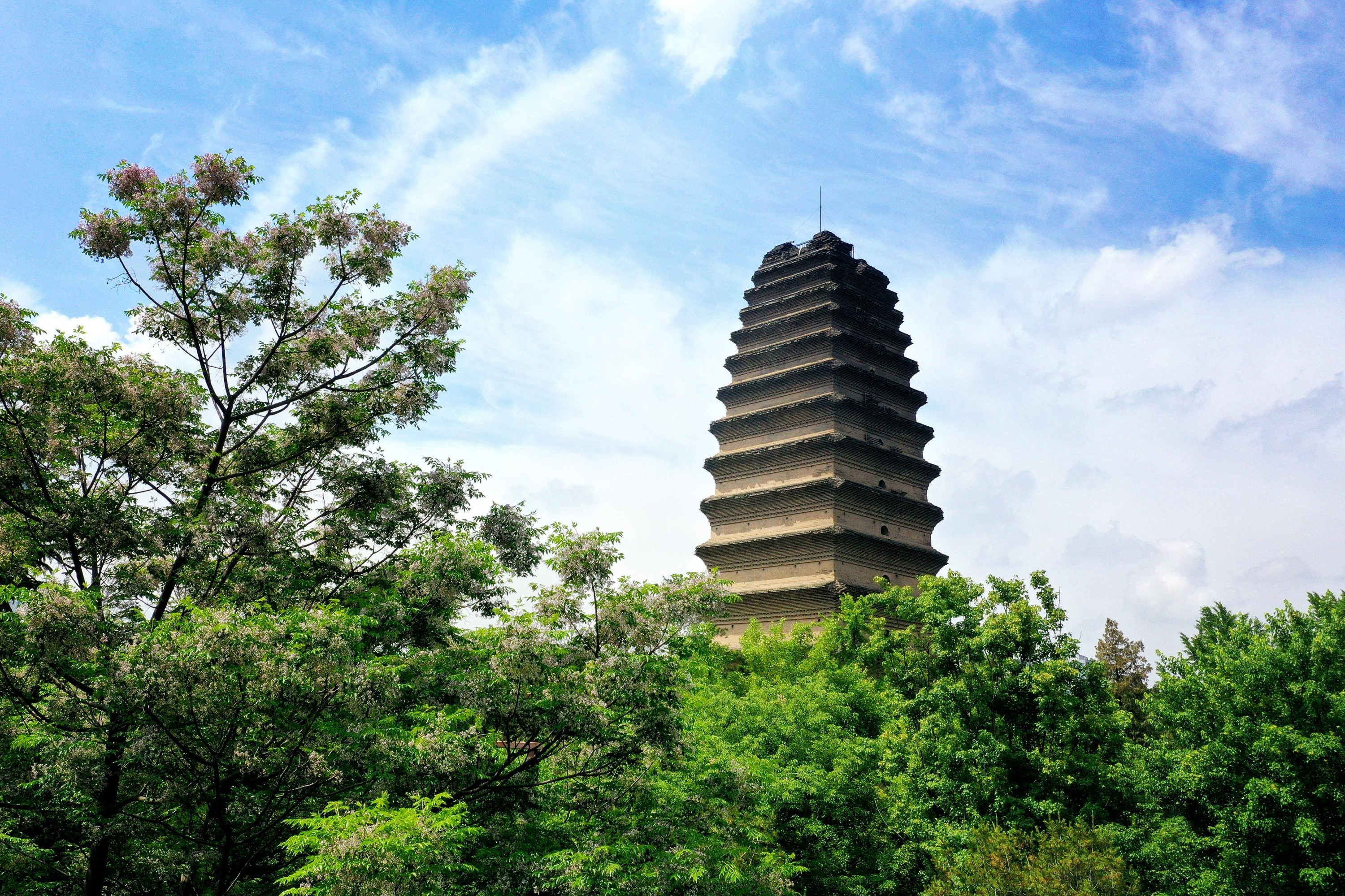 西安私人导览兵马俑 城墻 小雁塔 西安博物院一日游