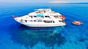 沙姆沙伊赫出发拉斯穆罕默德 & 白岛体验