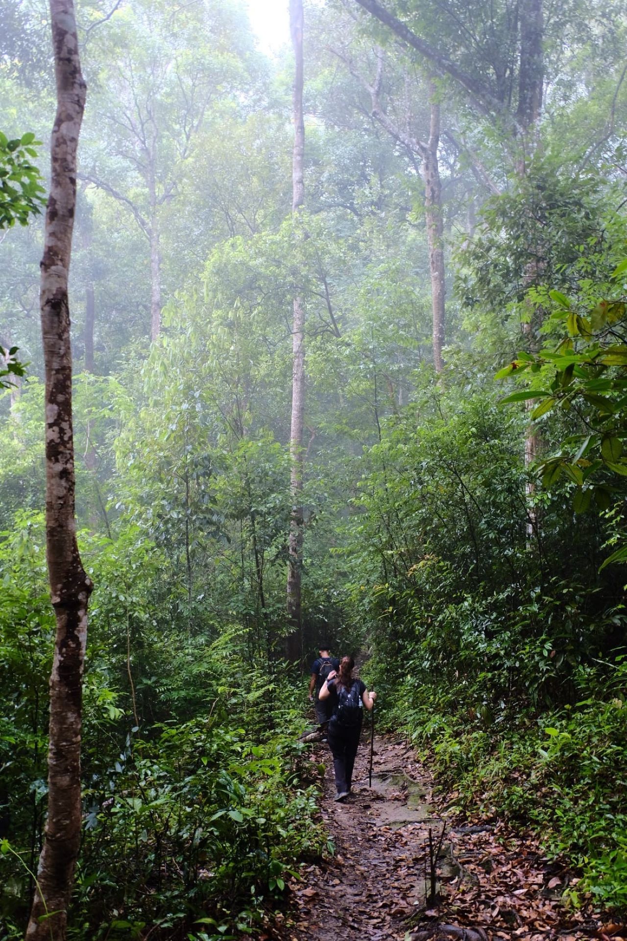 素帖山普伊国家公园探险健行