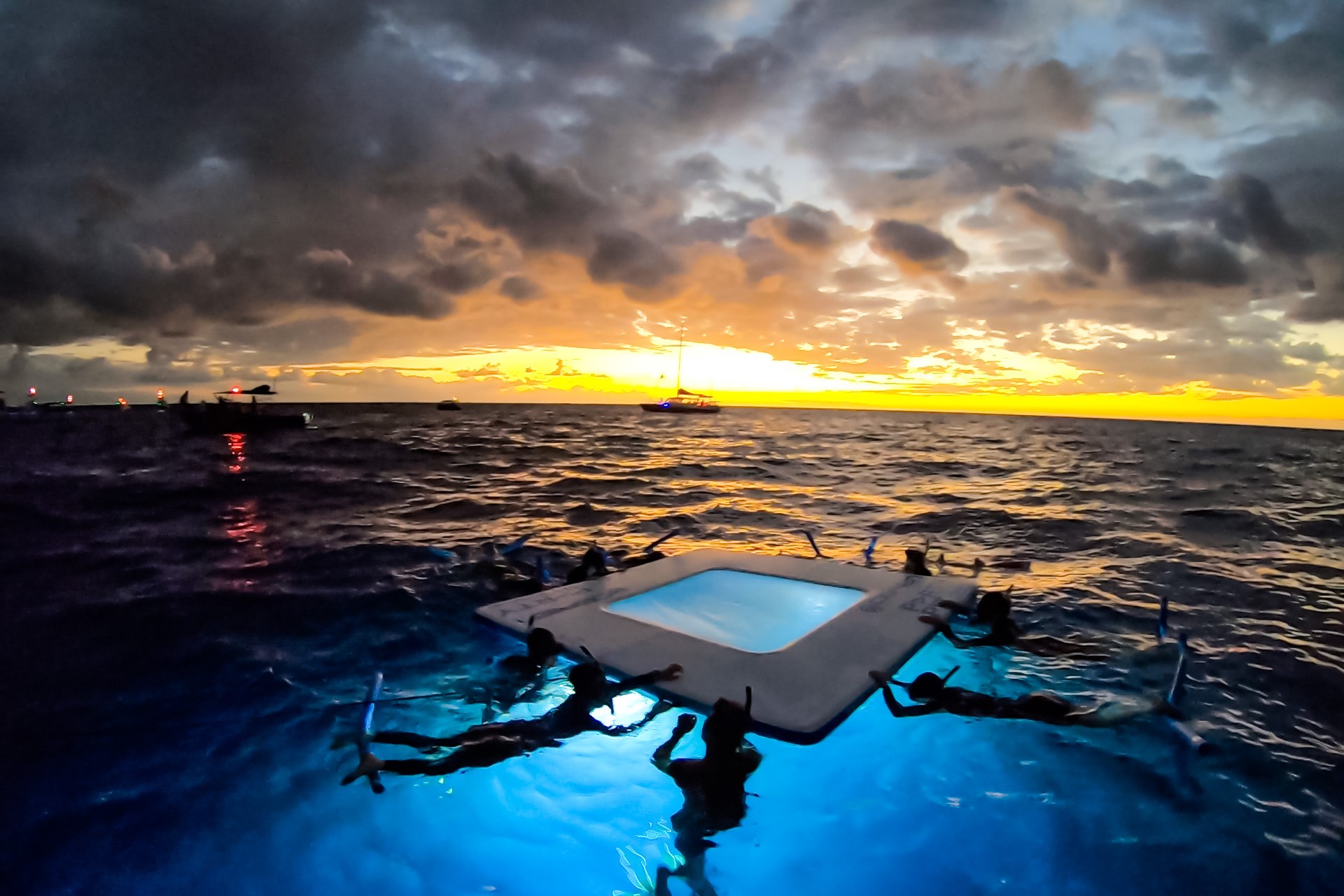 科纳夜间浮潜观赏蝠