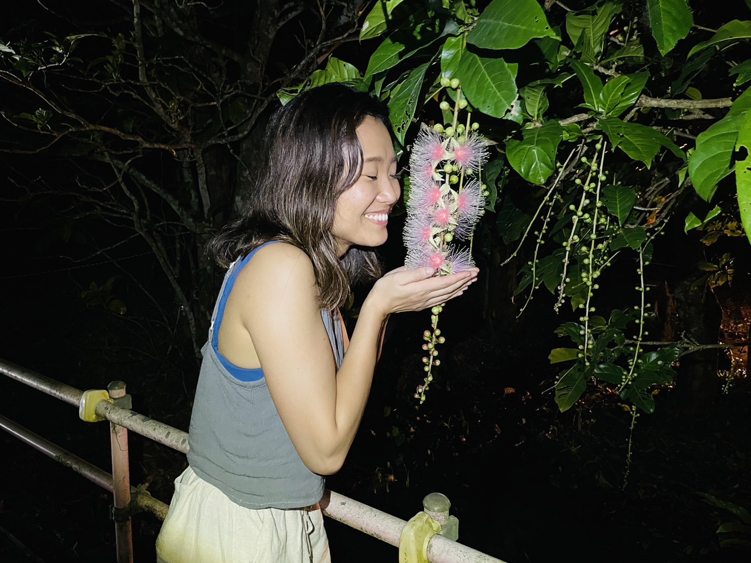 【限时】冲绳沙里花一日赏花之旅