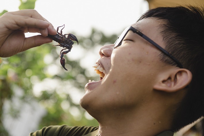 The Sundowner餐厅吃昆虫体验
