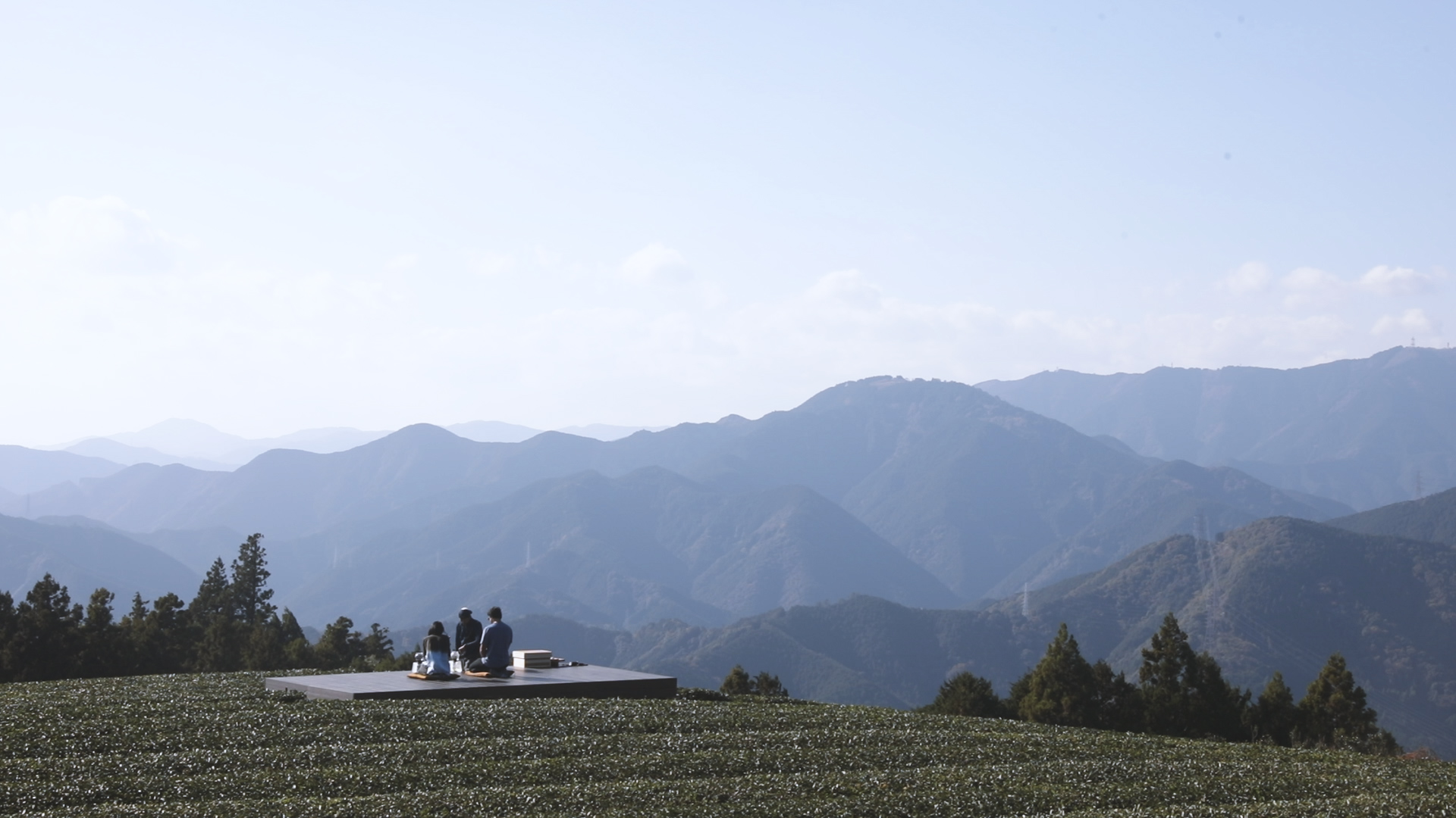 东京出发的静冈日本茶之旅