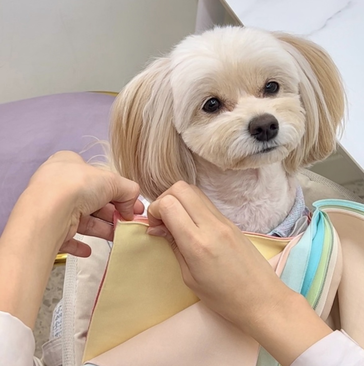 首尔弘大个人色彩咨询