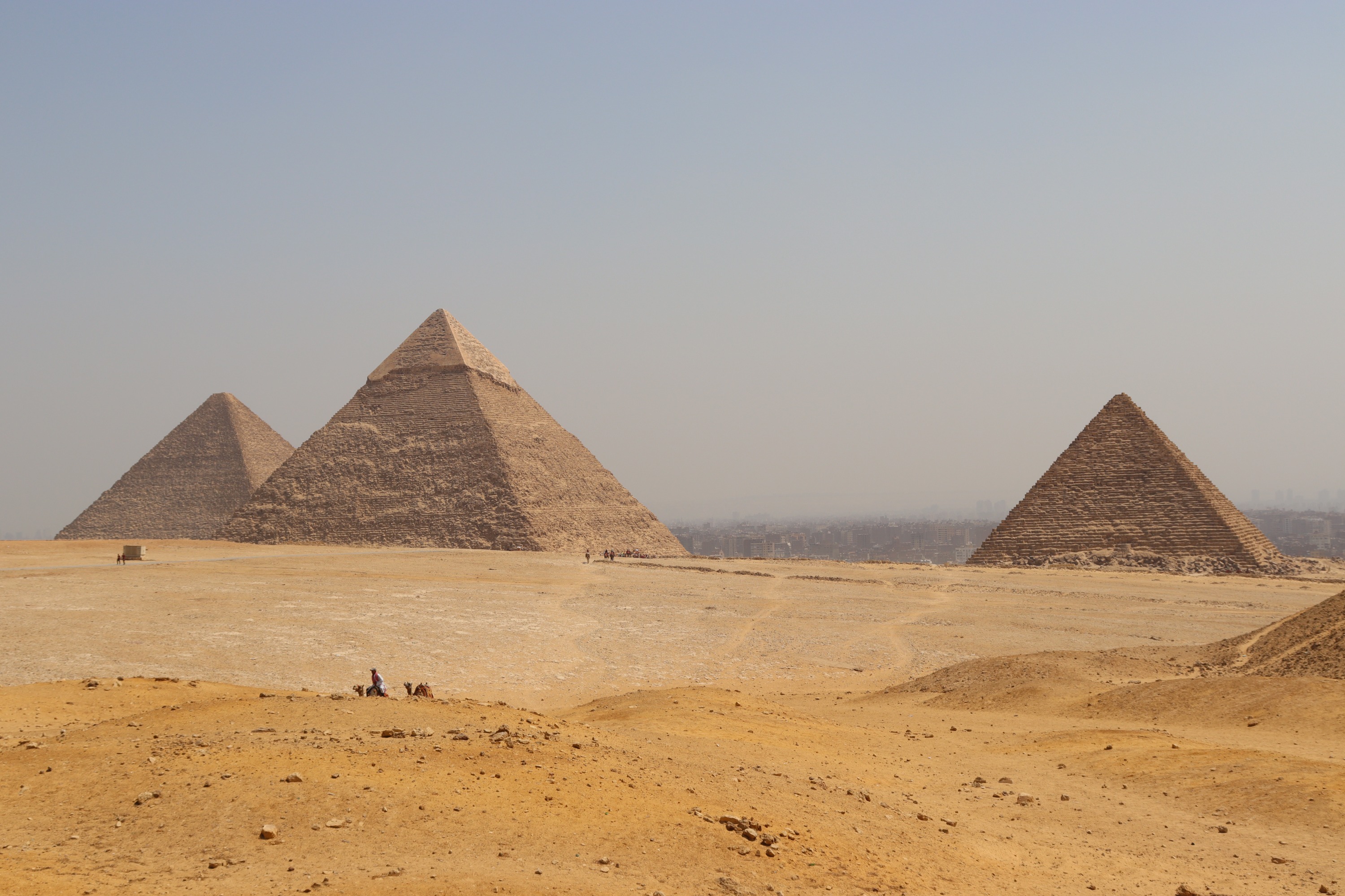 开罗一日游：金字塔、埃及博物馆 & 萨拉丁城堡