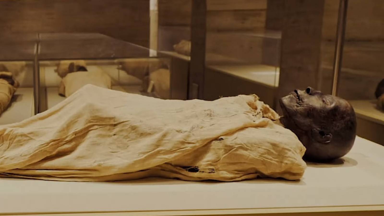 文明博物馆 & 开罗城堡 & 科普特开罗一日游