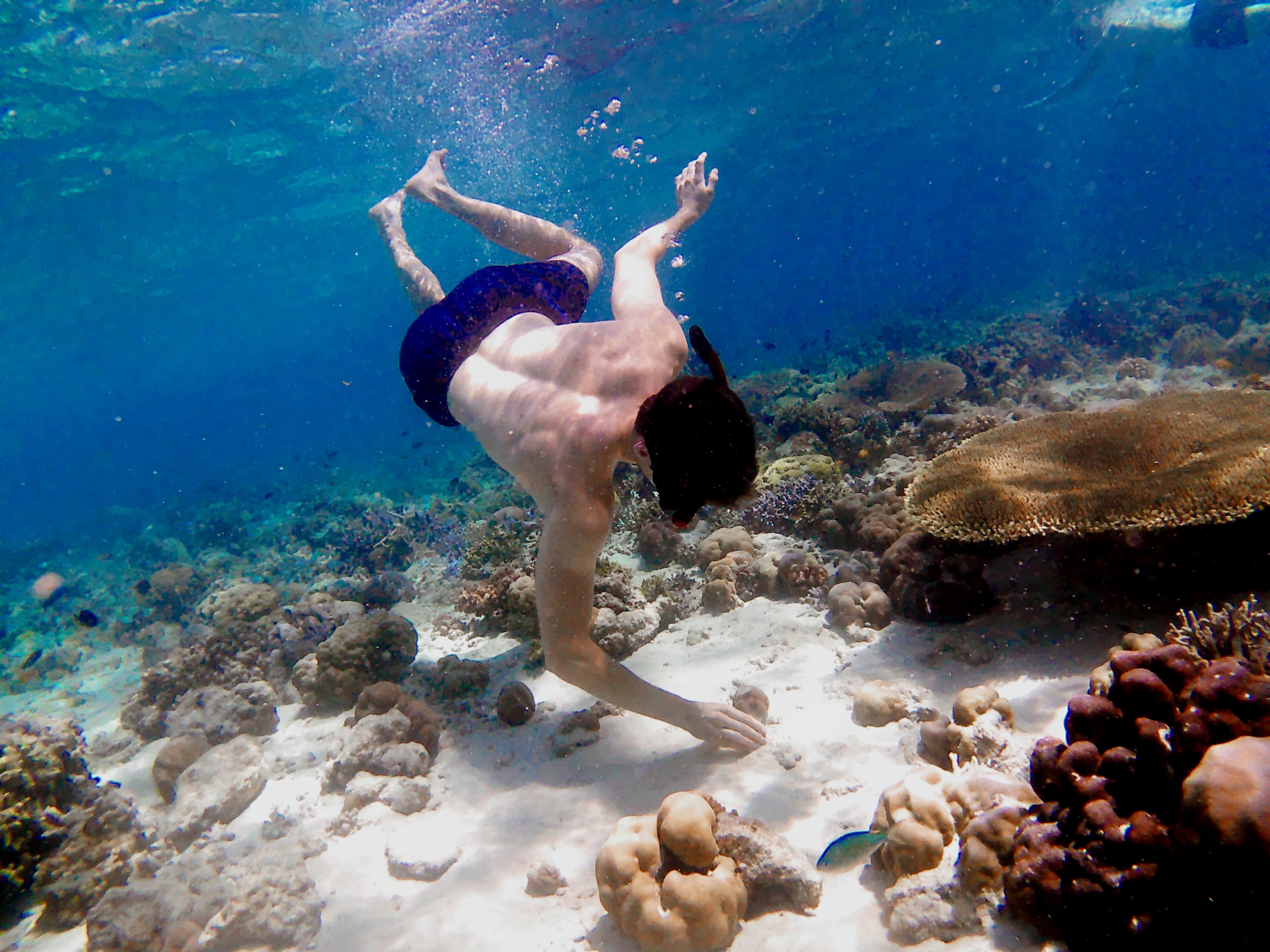 2晚3天巴纽旺吉住宿游
