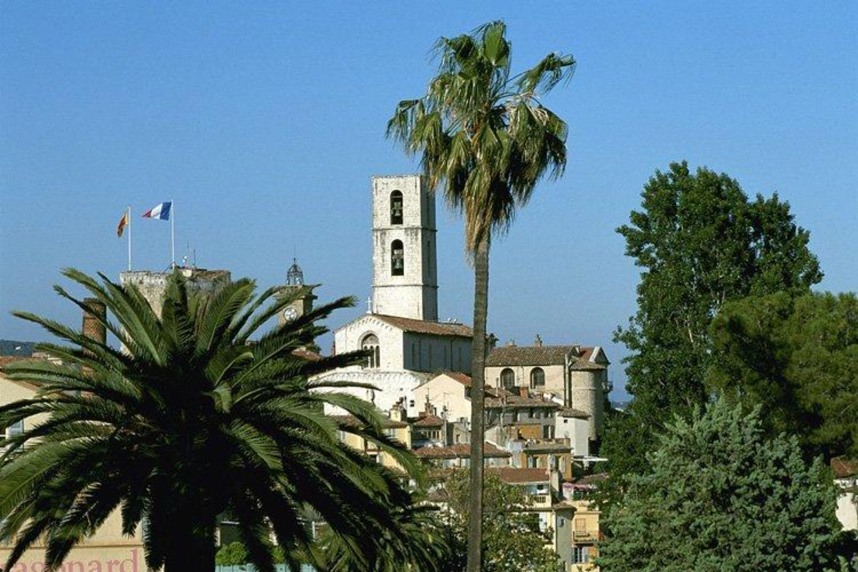 尼斯 / 坎城出发格拉斯、瓦尔邦和古尔东一日游