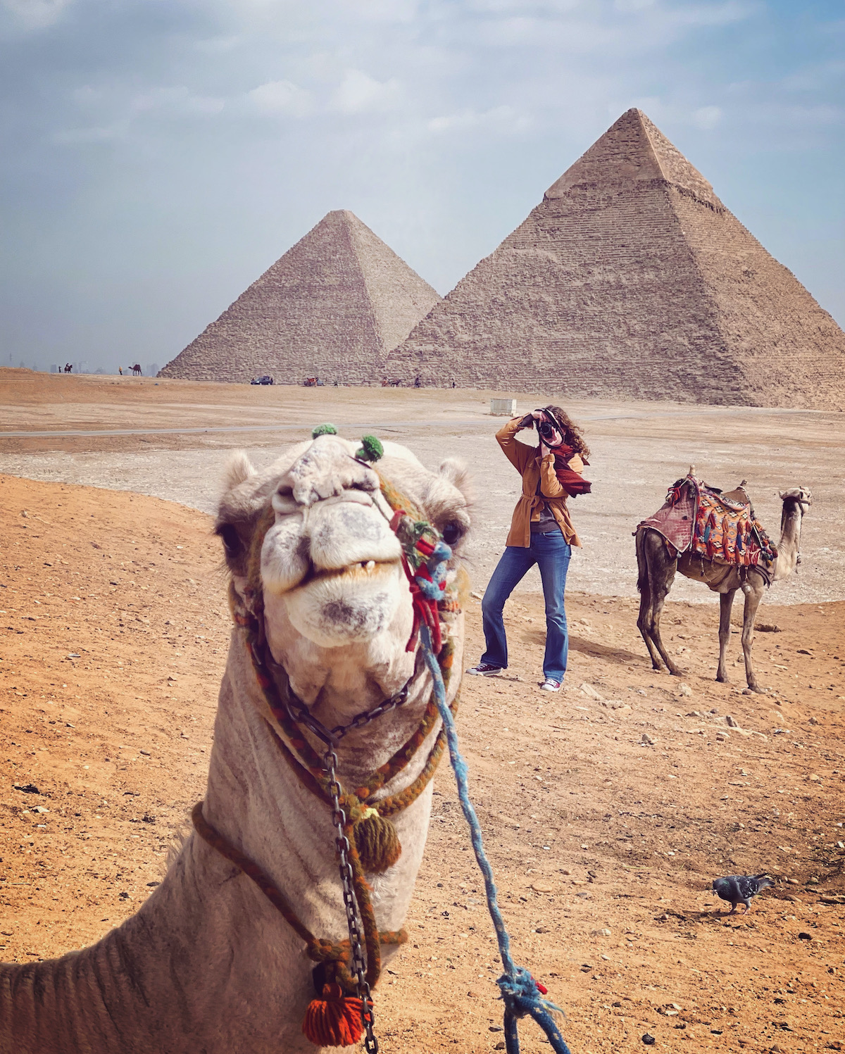 吉萨和开罗标志性地标私人游（含午餐）