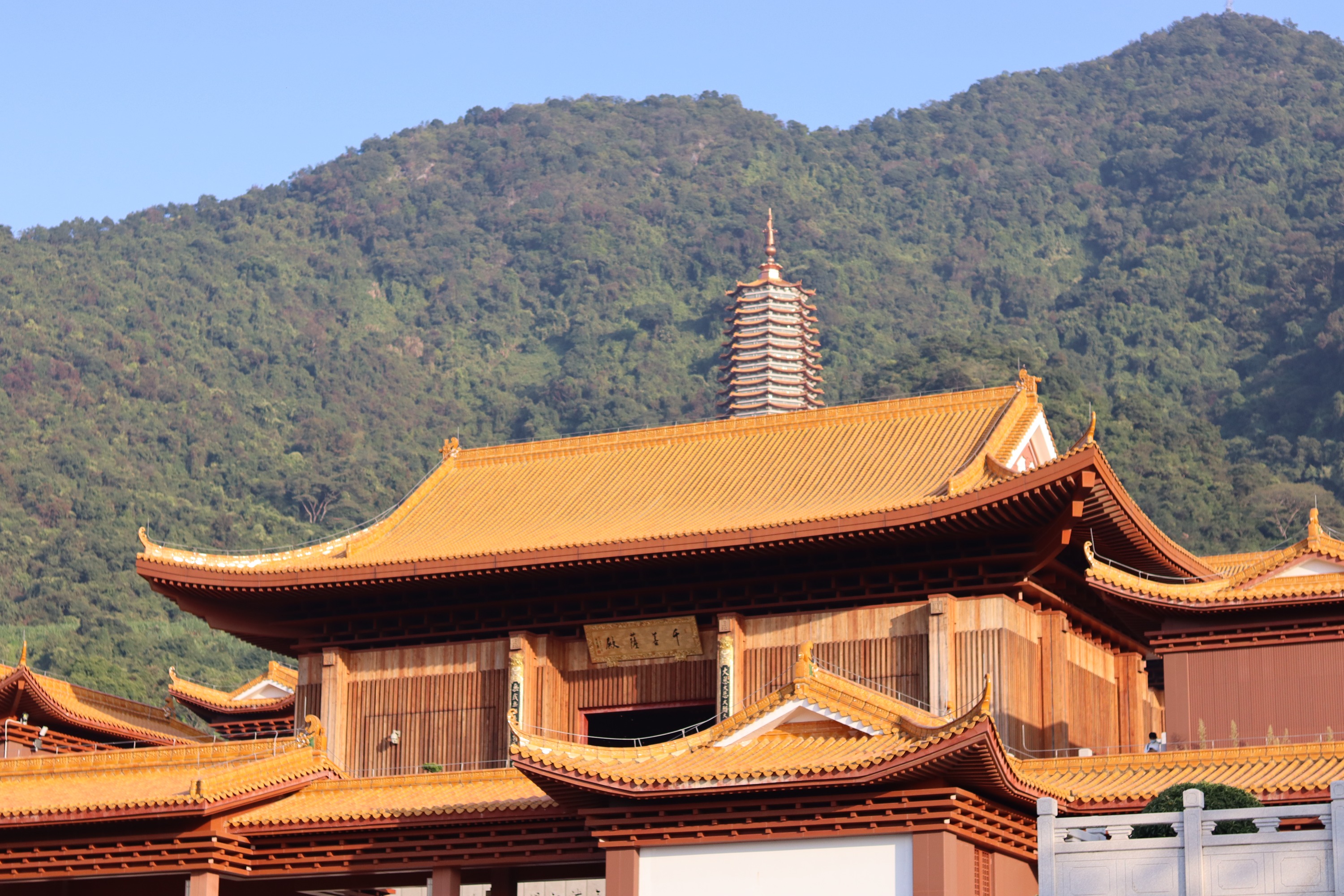 弘法寺&东门老街&京基100包车一日游