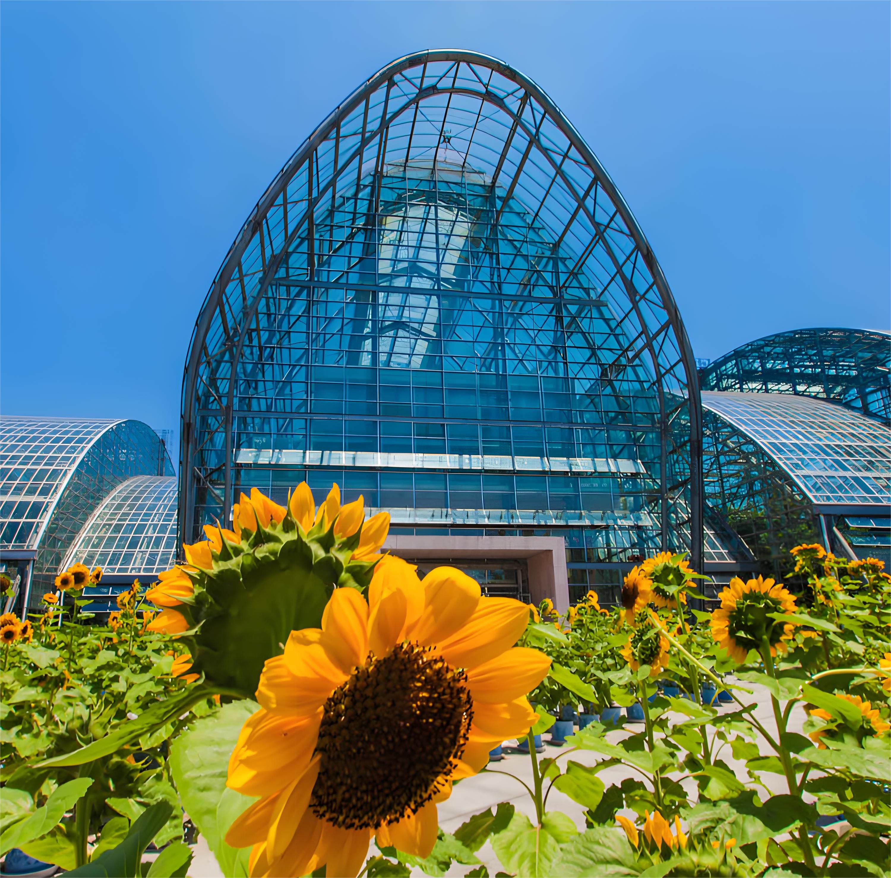 重庆私人导览一日游（南山植物园+解放碑+重庆大剧院+洪崖洞）