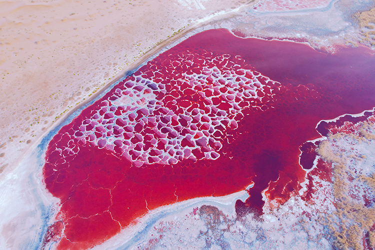 【私享定制团】宁夏探秘五湖5日（沙漠星星酒店+五湖穿越+中卫 66 号公路+镇北堡西部影城+沙坡头+西夏古村北长滩+怀远夜市）