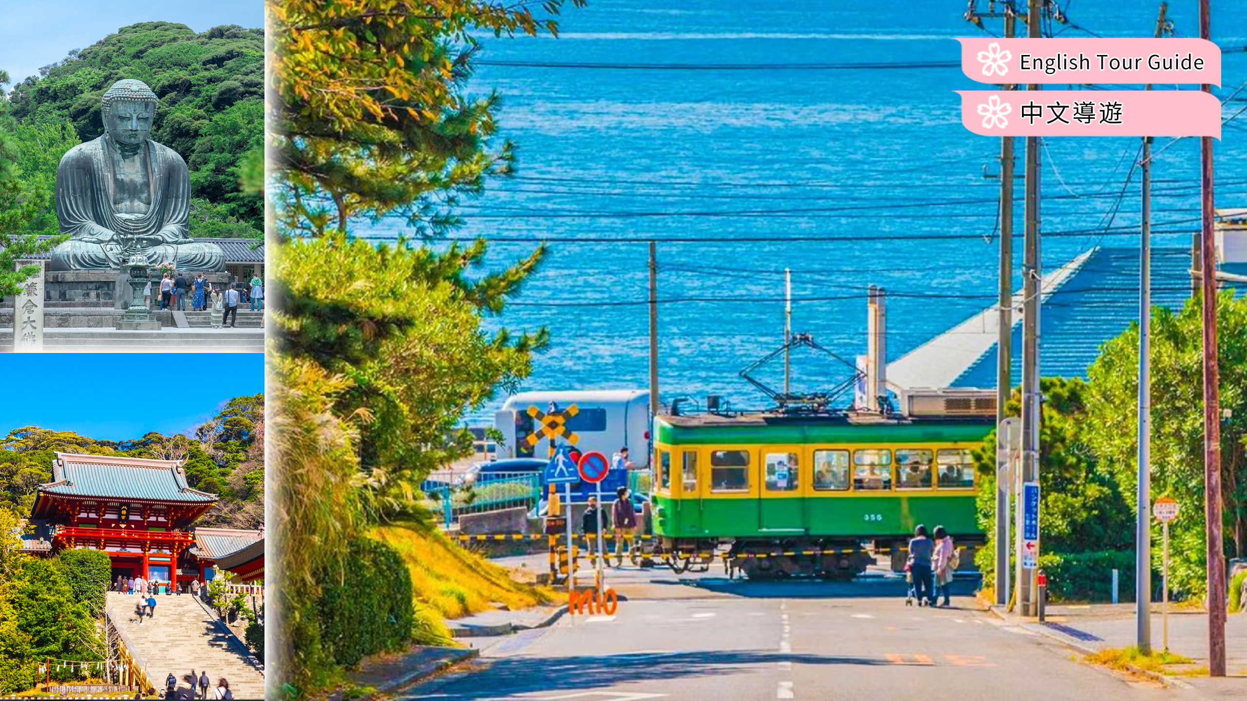 【镰仓一日游】镰仓高校&镰仓大佛&江之岛(含江之电体验）｜东京出发