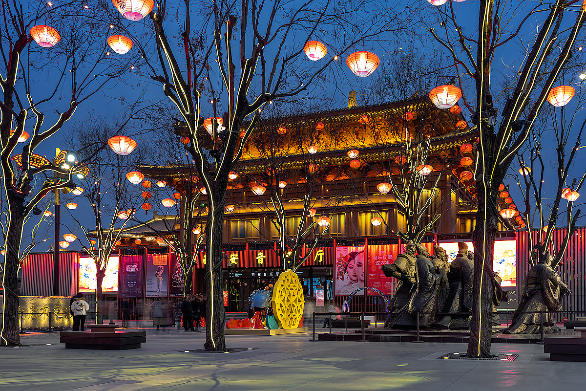 西安城墙 大雁塔  大唐不夜城 私人导览一日游