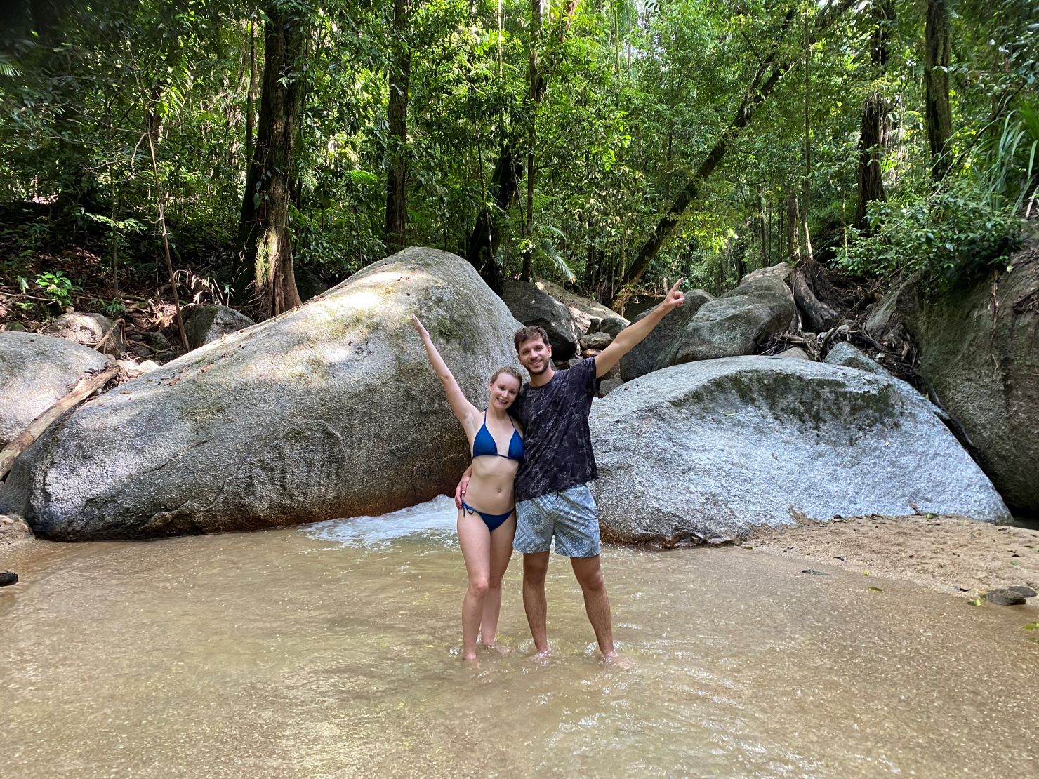 莫斯曼峡谷 & 戴恩树雨林体验