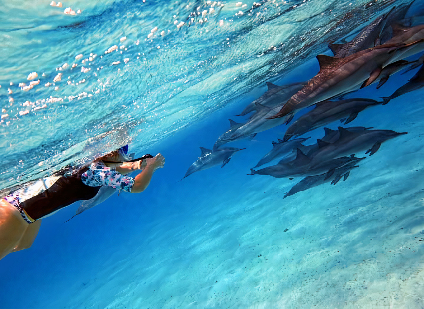 沙塔亚海豚屋船游（含午餐）
