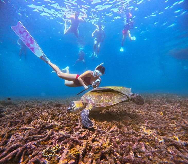 帕岸岛出发龟岛 & 南园岛浮潜一日游