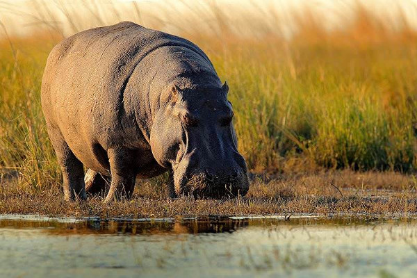 安博塞利国家公园2日游