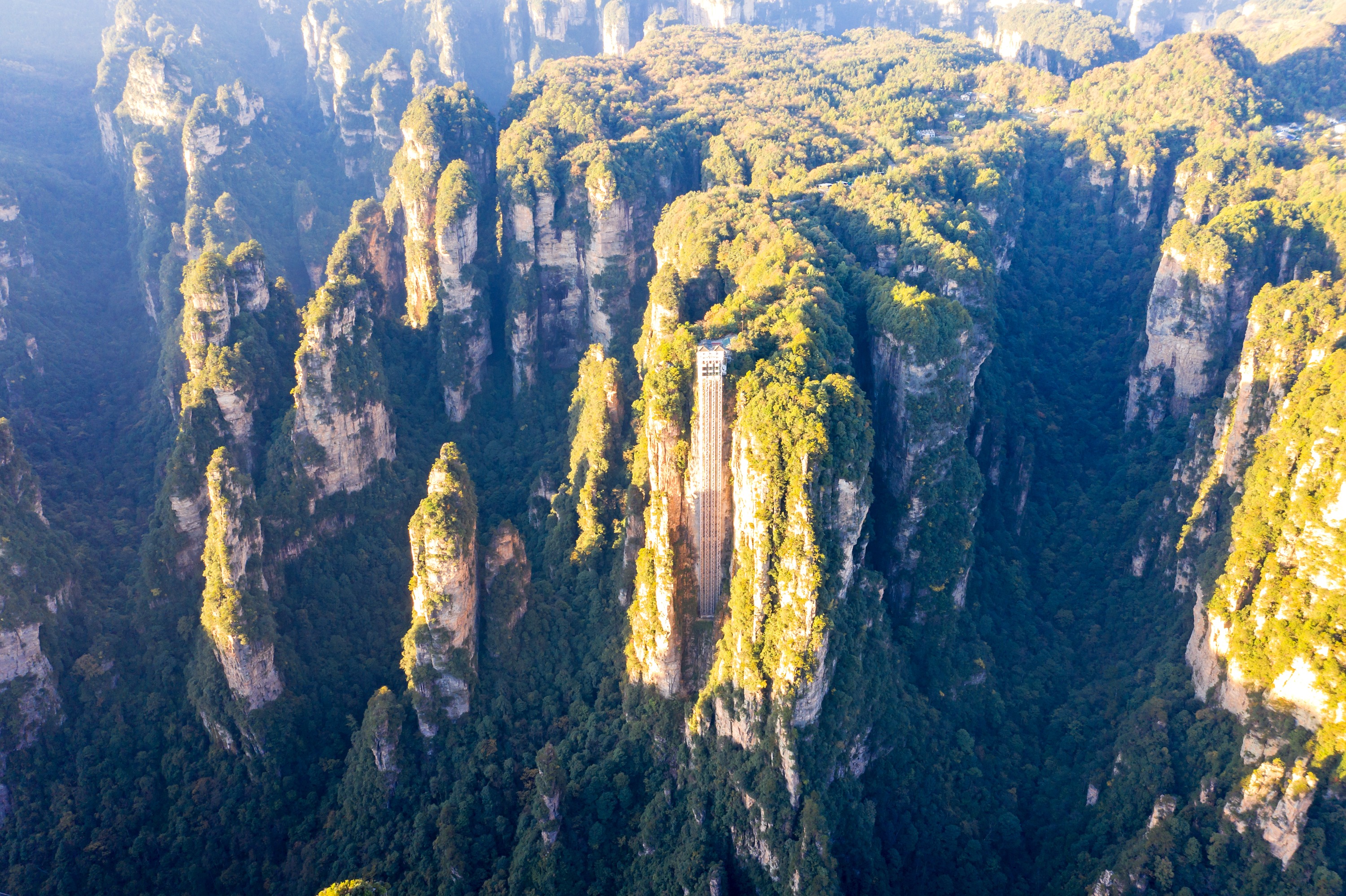 景点接送 张家界市区至武陵源酒店/森林公园东门 